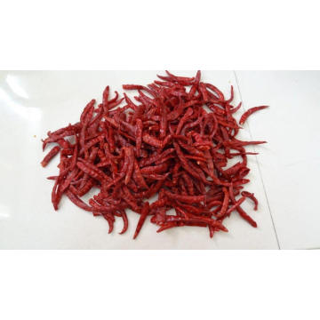 Organic Dry red chilli